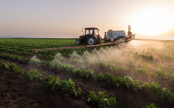 Best Mosquito Control Services  in Fort Payne, AL
