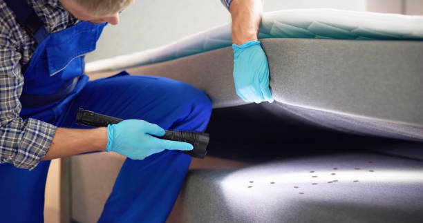 Flea Control Services in Fort Payne, AL